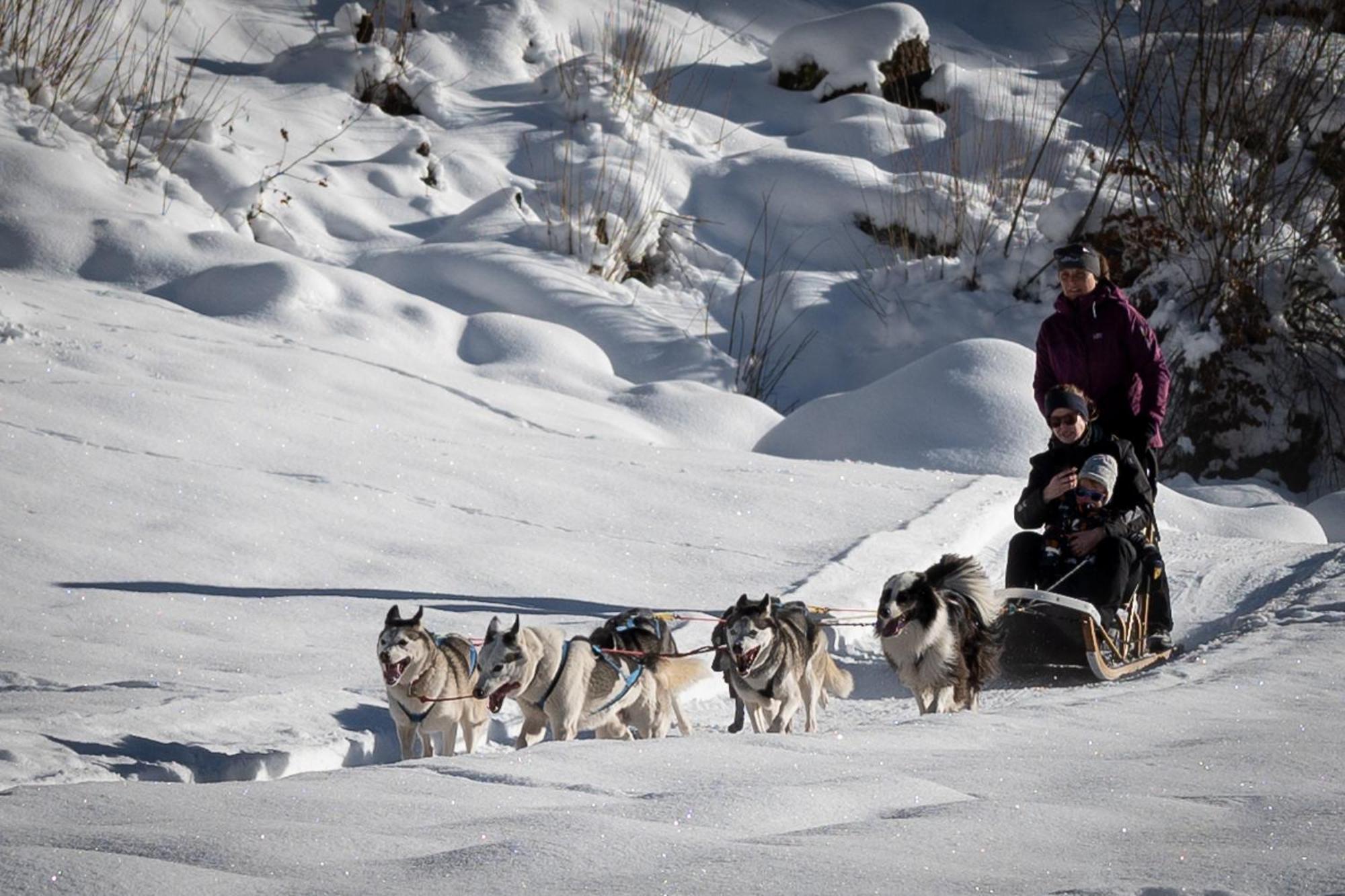 Huettenhotel Husky 3*