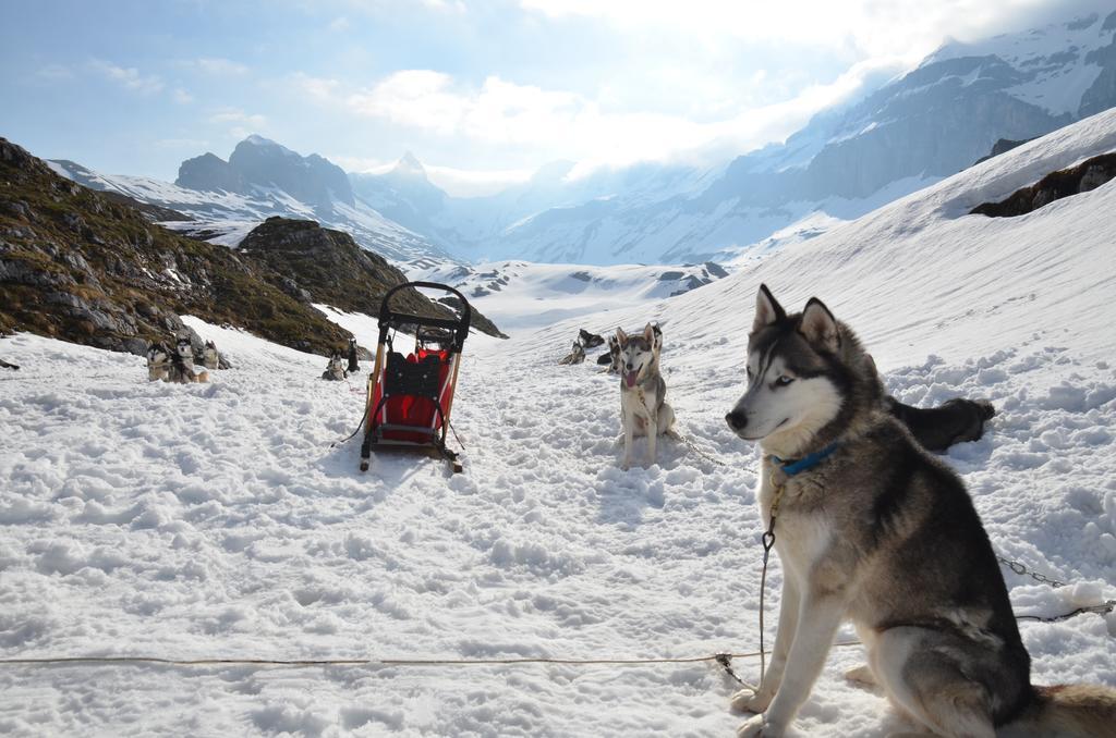 Huettenhotel Husky 3*